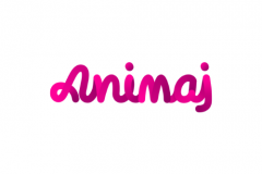 Animaj reinvents its video strategy with Selego